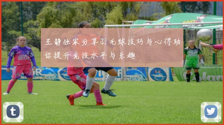 王静独家分享羽毛球技巧与心得助你提升竞技水平与乐趣
