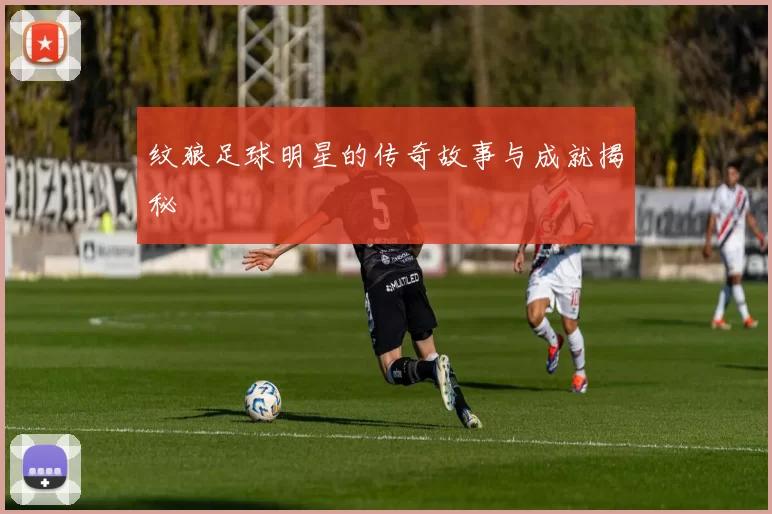 纹狼足球明星的传奇故事与成就揭秘