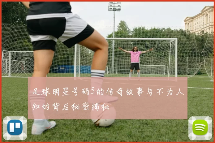 足球明星号码5的传奇故事与不为人知的背后秘密揭秘