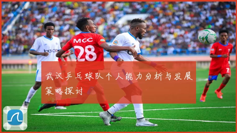 武汉乒乓球队个人能力分析与发展策略探讨