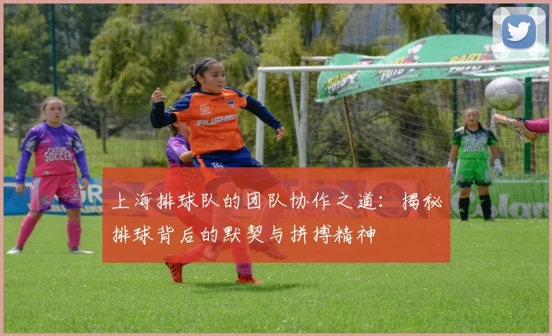 上海排球队的团队协作之道：揭秘排球背后的默契与拼搏精神