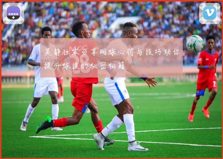 吴静独家分享网球心得与技巧助你提升球技的秘密秘籍
