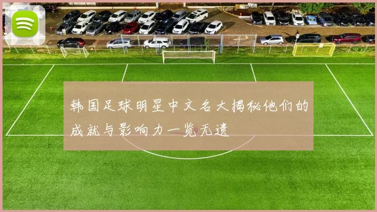 韩国足球明星中文名大揭秘他们的成就与影响力一览无遗