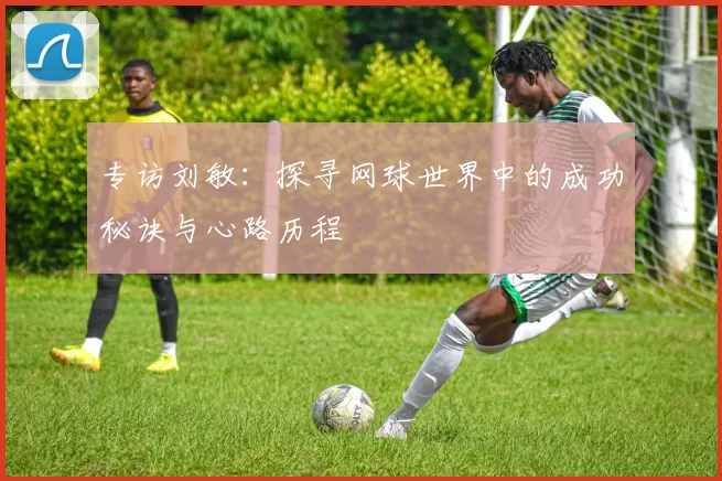 专访刘敏：探寻网球世界中的成功秘诀与心路历程