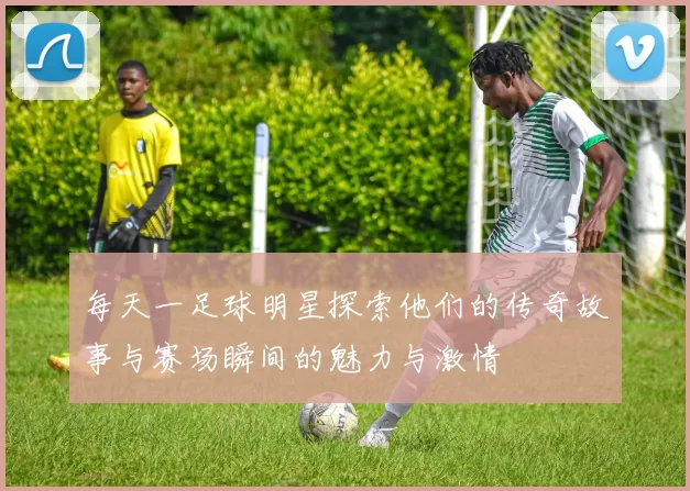 每天一足球明星探索他们的传奇故事与赛场瞬间的魅力与激情