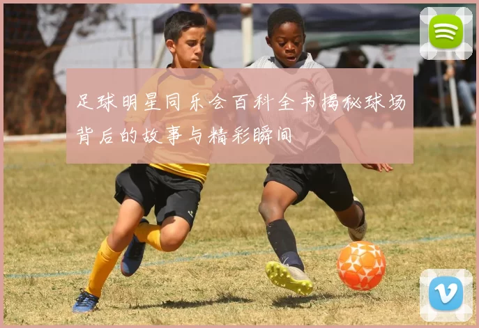 足球明星同乐会百科全书揭秘球场背后的故事与精彩瞬间