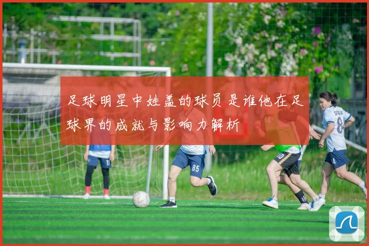 足球明星中姓盖的球员是谁他在足球界的成就与影响力解析
