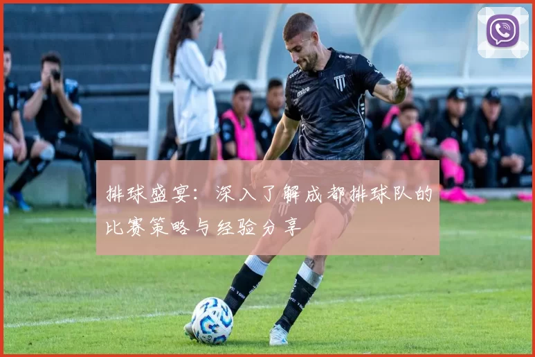 排球盛宴：深入了解成都排球队的比赛策略与经验分享