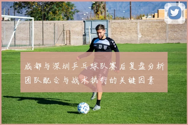 成都与深圳乒乓球队赛后复盘分析团队配合与战术执行的关键因素
