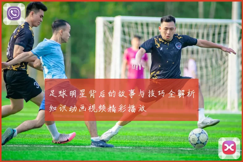 足球明星背后的故事与技巧全解析知识动画视频精彩播放