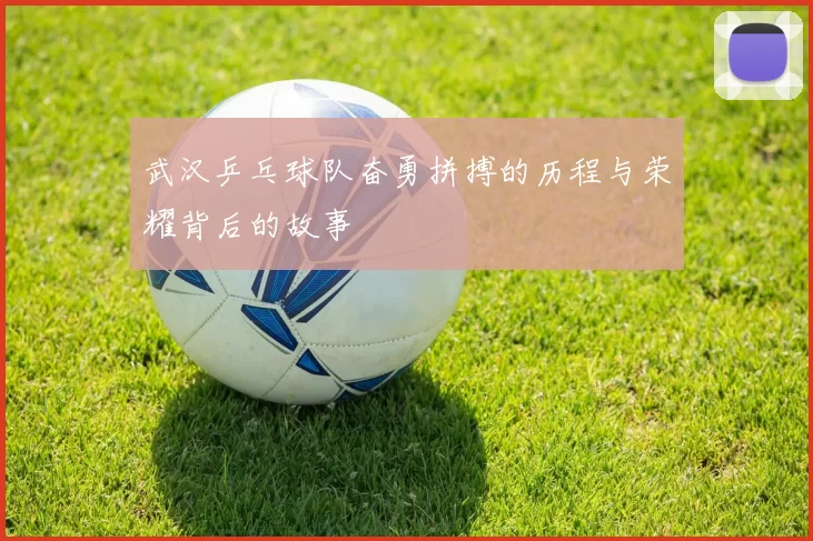 武汉乒乓球队奋勇拼搏的历程与荣耀背后的故事