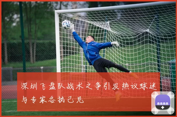 深圳飞盘队战术之争引发热议球迷与专家各执己见
