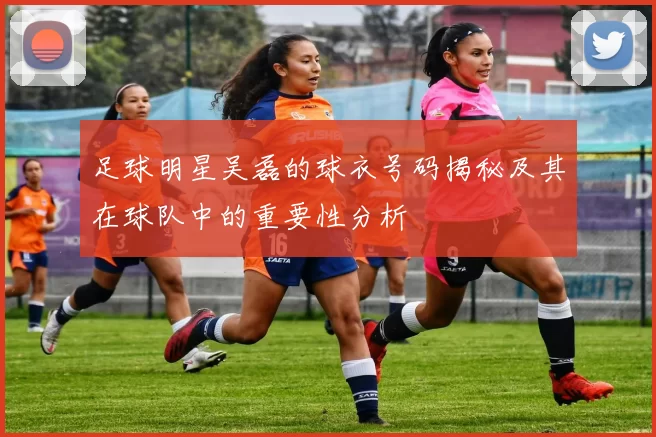 足球明星吴磊的球衣号码揭秘及其在球队中的重要性分析