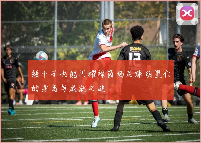 矮个子也能闪耀绿茵场足球明星们的身高与成就之谜