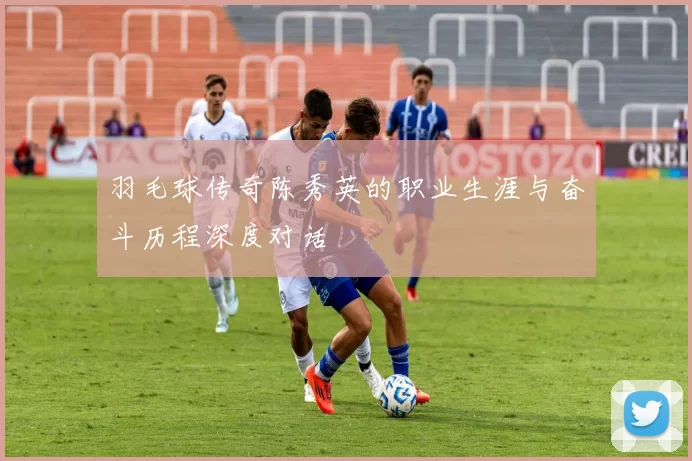 羽毛球传奇陈秀英的职业生涯与奋斗历程深度对话