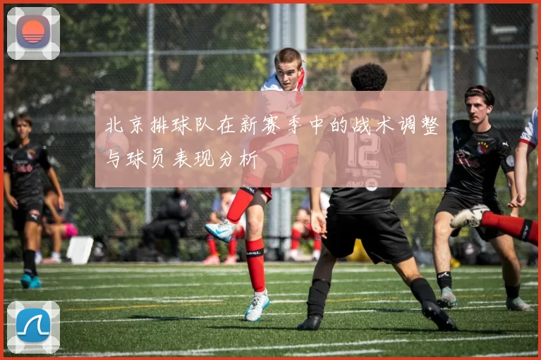 北京排球队在新赛季中的战术调整与球员表现分析
