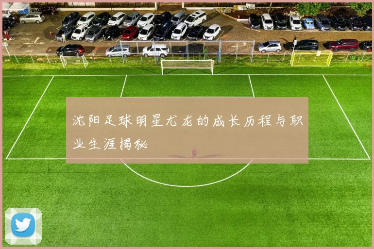 沈阳足球明星尤龙的成长历程与职业生涯揭秘