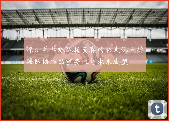深圳乒乓球队精英赛精彩表现分析团队协作的重要性与未来展望