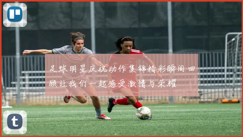 足球明星庆祝动作集锦精彩瞬间回顾让我们一起感受激情与荣耀