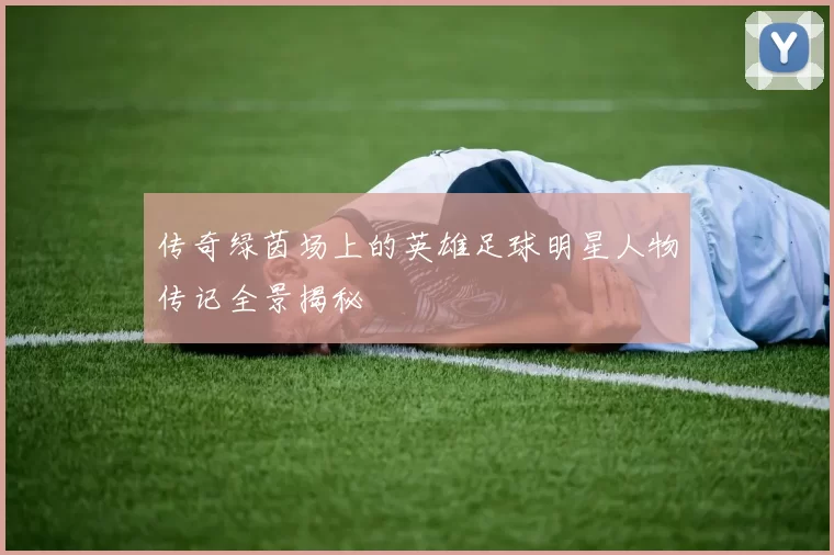 传奇绿茵场上的英雄足球明星人物传记全景揭秘