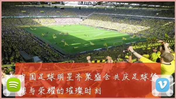中国足球明星齐聚盛会共庆足球梦想与荣耀的璀璨时刻